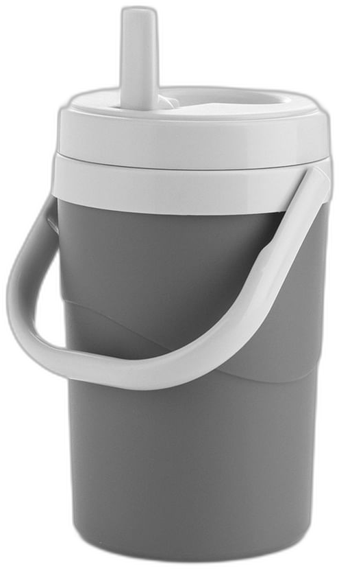 Termo insulado Estra de 2 litros gris