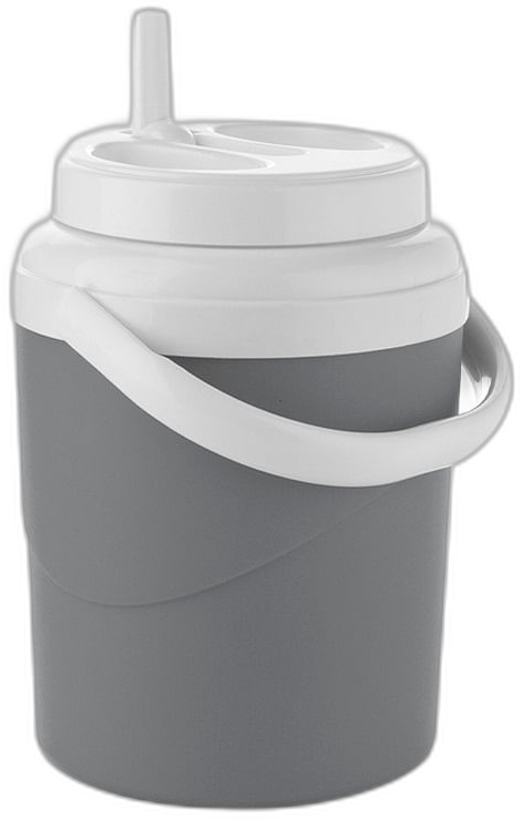 Termo insulado Estra de 4 litros gris